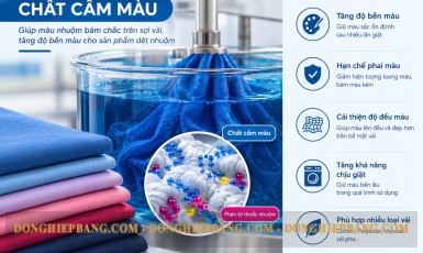 Chất cầm màu